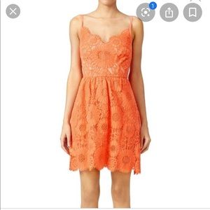 Trina Turk Orange Lace Overlay Alcott Dress